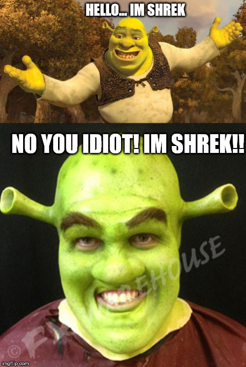 HELLO... IM SHREK; NO YOU IDIOT! IM SHREK!! | image tagged in shrek | made w/ Imgflip meme maker