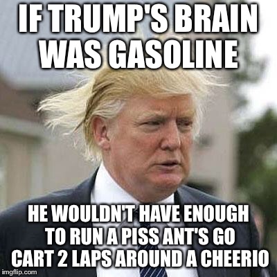Donald Trump | IF TRUMP'S BRAIN WAS GASOLINE; HE WOULDN'T HAVE ENOUGH TO RUN A PISS ANT'S GO CART 2 LAPS AROUND A CHEERIO | image tagged in donald trump | made w/ Imgflip meme maker
