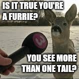 IS IT TRUE YOU'RE A FURRIE? YOU SEE MORE THAN ONE TAIL? | made w/ Imgflip meme maker