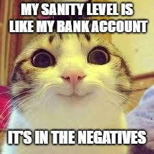 potatos and catshi crazy |  MY SANITY LEVEL IS LIKE MY BANK ACCOUNT; IT'S IN THE NEGATIVES | image tagged in potatos and catshi crazy | made w/ Imgflip meme maker