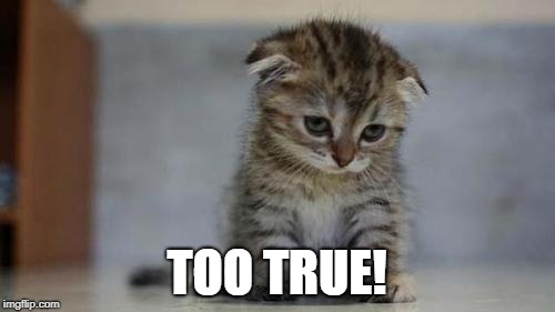 Sad kitten | TOO TRUE! | image tagged in sad kitten | made w/ Imgflip meme maker
