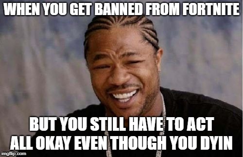 i spent over $550... and i got banned reeeeeee | WHEN YOU GET BANNED FROM FORTNITE; BUT YOU STILL HAVE TO ACT ALL OKAY EVEN THOUGH YOU DYIN | image tagged in memes,yo dawg heard you | made w/ Imgflip meme maker