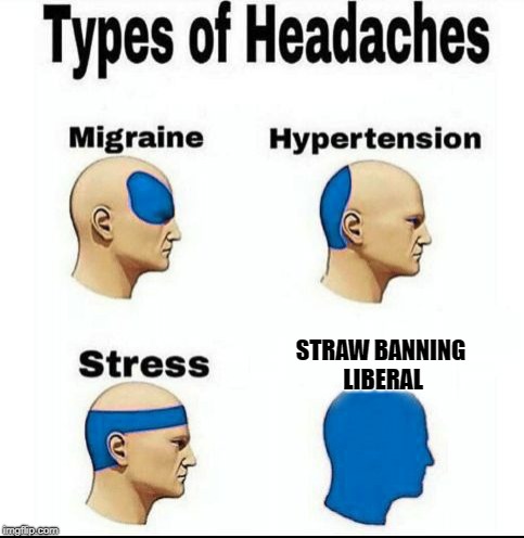 Hillary took an L | STRAW BANNING LIBERAL | image tagged in types of headaches blue,straw ban,liberal | made w/ Imgflip meme maker