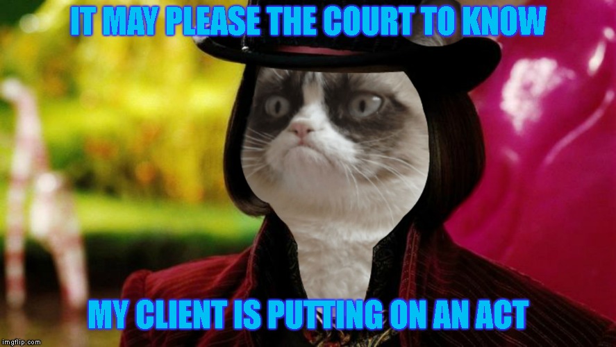 Wonka Grumpy Cat | IT MAY PLEASE THE COURT TO KNOW MY CLIENT IS PUTTING ON AN ACT | image tagged in wonka grumpy cat | made w/ Imgflip meme maker