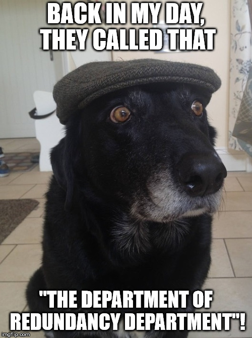 Back In My Day Dog | BACK IN MY DAY, THEY CALLED THAT "THE DEPARTMENT OF REDUNDANCY DEPARTMENT"! | image tagged in back in my day dog | made w/ Imgflip meme maker