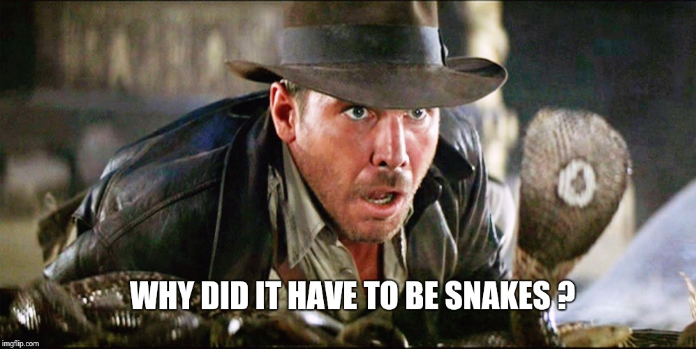 Indiana Jones Snakes | WHY DID IT HAVE TO BE SNAKES ? | image tagged in indiana jones snakes | made w/ Imgflip meme maker