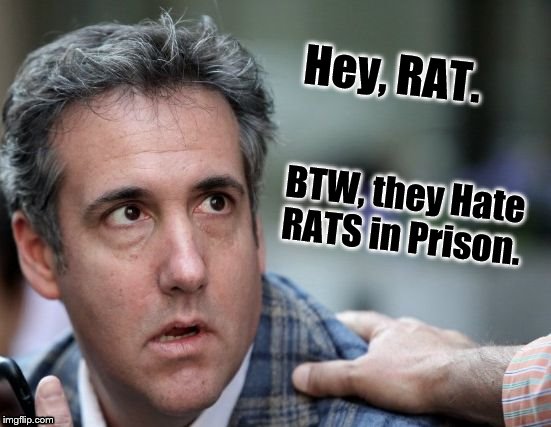 Michael Cohen sings | Hey, RAT. BTW, they Hate RATS in Prison. | image tagged in michael cohen sings | made w/ Imgflip meme maker