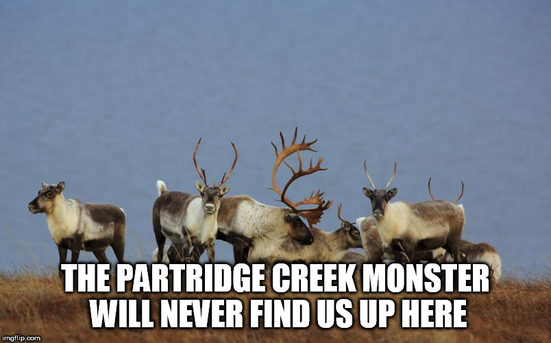 Caribou | THE PARTRIDGE CREEK MONSTER WILL NEVER FIND US UP HERE | image tagged in caribou,partridge creek monster,partridge creek beast,dinosaur,dinosaurs,ceratosaurus | made w/ Imgflip meme maker