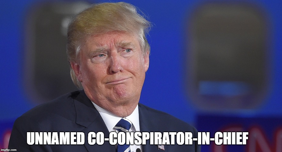 Unnamed Co-Conspirator-in-Chief

 | UNNAMED CO-CONSPIRATOR-IN-CHIEF | image tagged in trump,conservative hypocrisy | made w/ Imgflip meme maker