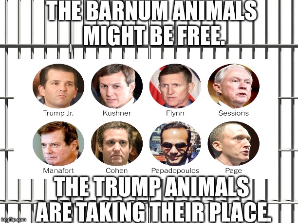 Trump administration  | THE BARNUM ANIMALS MIGHT BE FREE. THE TRUMP ANIMALS ARE TAKING THEIR PLACE. | image tagged in paul manafort | made w/ Imgflip meme maker