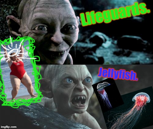 Gollum schizophrenia | Lifeguards. Jellyfish. | image tagged in gollum schizophrenia | made w/ Imgflip meme maker