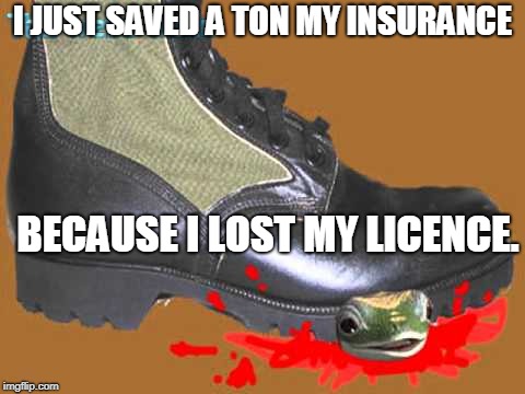 I JUST SAVED A TON MY INSURANCE BECAUSE I LOST MY LICENCE. | made w/ Imgflip meme maker