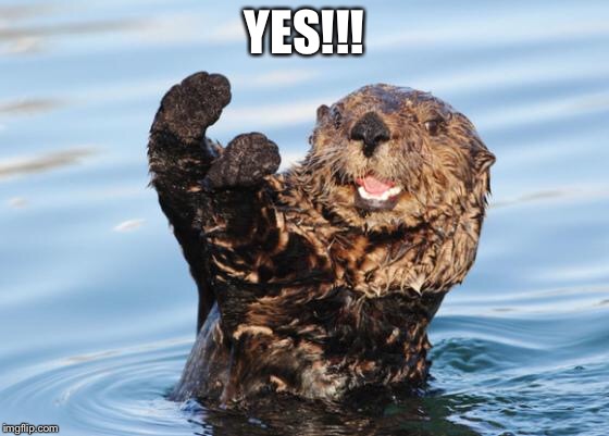 otter celebration | YES!!! | image tagged in otter celebration | made w/ Imgflip meme maker