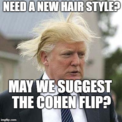 Donald Trump | NEED A NEW HAIR STYLE? MAY WE SUGGEST THE COHEN FLIP? | image tagged in donald trump | made w/ Imgflip meme maker