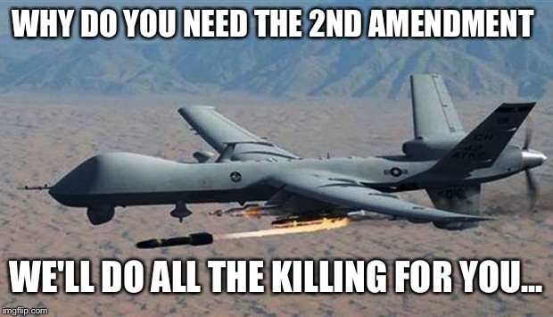 Gun control  | WHY DO YOU NEED THE 2ND AMENDMENT; WE'LL DO ALL THE KILLING FOR YOU... | image tagged in 2nd amendment | made w/ Imgflip meme maker