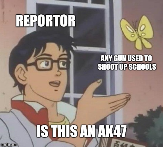 Is This A Pigeon | REPORTOR; ANY GUN USED TO SHOOT UP SCHOOLS; IS THIS AN AK47 | image tagged in memes,is this a pigeon | made w/ Imgflip meme maker