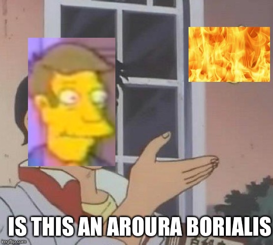 Is This A Pigeon | IS THIS AN AROURA BORIALIS | image tagged in memes,is this a pigeon | made w/ Imgflip meme maker