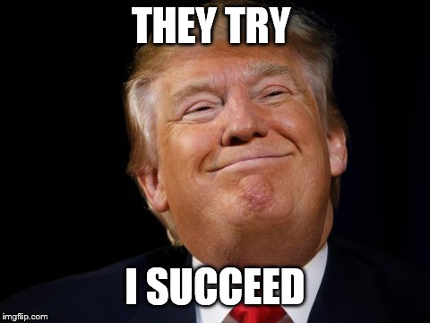 Smug Trump | THEY TRY I SUCCEED | image tagged in smug trump | made w/ Imgflip meme maker