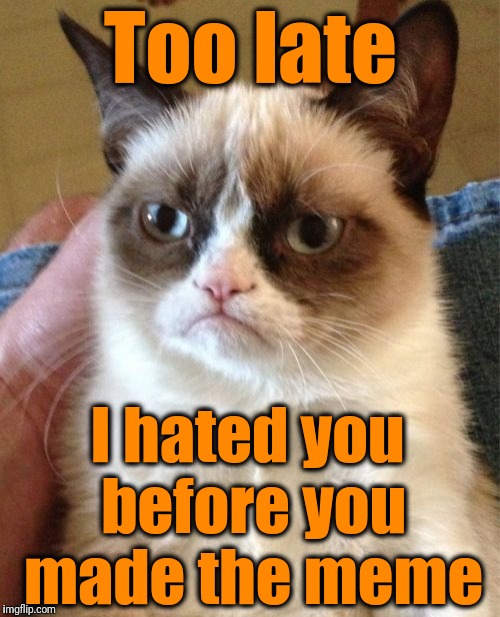 Grumpy Cat Meme | Too late I hated you before you made the meme | image tagged in memes,grumpy cat | made w/ Imgflip meme maker