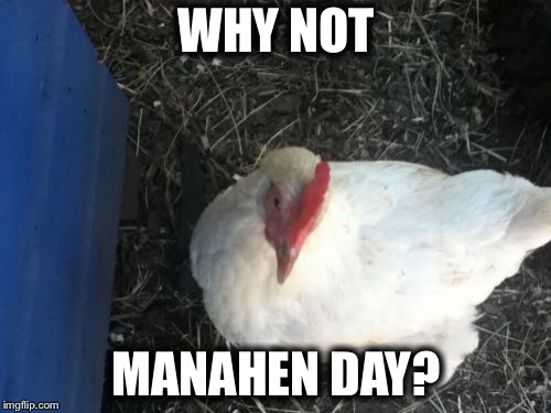 Angry Chicken Boss Meme | WHY NOT MANAHEN DAY? | image tagged in memes,angry chicken boss | made w/ Imgflip meme maker