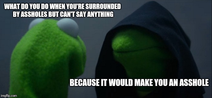 Evil Kermit | WHAT DO YOU DO WHEN YOU'RE SURROUNDED BY ASSHOLES BUT CAN'T SAY ANYTHING; BECAUSE IT WOULD MAKE YOU AN ASSHOLE | image tagged in memes,evil kermit | made w/ Imgflip meme maker