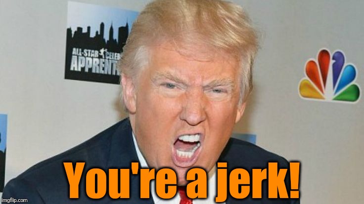 You're a jerk! | image tagged in trump mad | made w/ Imgflip meme maker