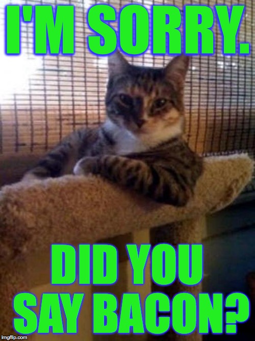 The Most Interesting Cat In The World Meme | I'M SORRY. DID YOU SAY BACON? | image tagged in memes,the most interesting cat in the world | made w/ Imgflip meme maker
