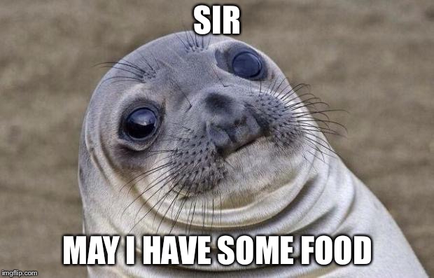 Hungry seal baby | SIR; MAY I HAVE SOME FOOD | image tagged in memes,awkward moment sealion | made w/ Imgflip meme maker