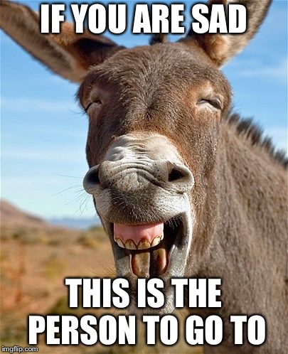 Donkeys make you feel better  | IF YOU ARE SAD; THIS IS THE PERSON TO GO TO | image tagged in laughing donkey,abuse | made w/ Imgflip meme maker