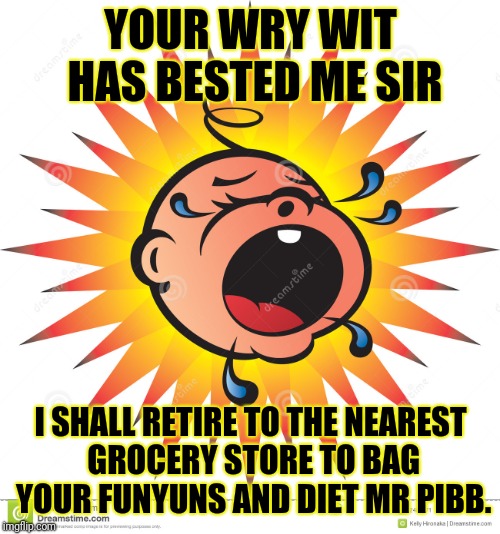 How I feel When Someone Posts a Snarky Comment. | YOUR WRY WIT HAS BESTED ME SIR; I SHALL RETIRE TO THE NEAREST GROCERY STORE TO BAG YOUR FUNYUNS AND DIET MR PIBB. | image tagged in troll,snarky | made w/ Imgflip meme maker