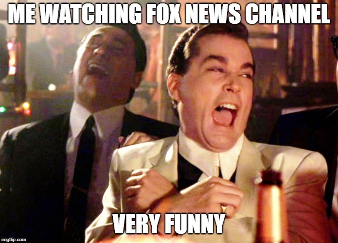 Good Fellas Hilarious | ME WATCHING FOX NEWS CHANNEL; VERY FUNNY | image tagged in memes,good fellas hilarious,cable tv | made w/ Imgflip meme maker