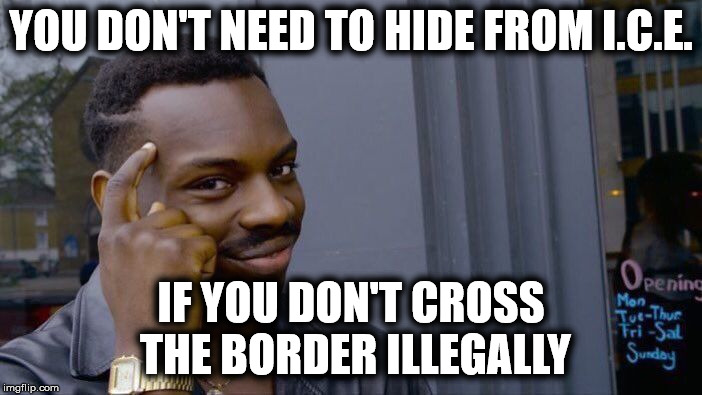 Roll Safe Think About It Meme | YOU DON'T NEED TO HIDE FROM I.C.E. IF YOU DON'T CROSS THE BORDER ILLEGALLY | image tagged in memes,roll safe think about it | made w/ Imgflip meme maker