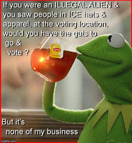 ICE at the Election Stations- But that's None of My Business | image tagged in ice,kermit none of my business,politics lol,current events,illegal immigration,election fraud | made w/ Imgflip meme maker