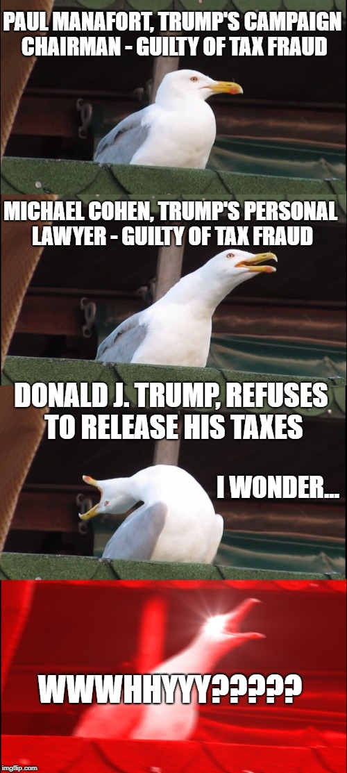 Inhaling Seagull | PAUL MANAFORT, TRUMP'S CAMPAIGN CHAIRMAN - GUILTY OF TAX FRAUD; MICHAEL COHEN, TRUMP'S PERSONAL LAWYER - GUILTY OF TAX FRAUD; DONALD J. TRUMP, REFUSES TO RELEASE HIS TAXES; I WONDER... WWWHHYYY????? | image tagged in memes,inhaling seagull | made w/ Imgflip meme maker