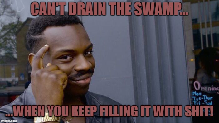 Roll Safe Think About It Meme | CAN'T DRAIN THE SWAMP... ...WHEN YOU KEEP FILLING IT WITH SHIT! | image tagged in memes,roll safe think about it | made w/ Imgflip meme maker