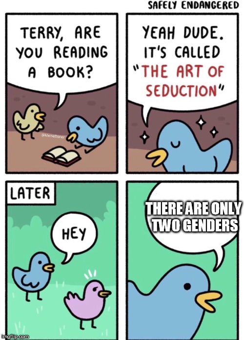 Art of Seduction | THERE ARE ONLY TWO GENDERS | image tagged in art of seduction | made w/ Imgflip meme maker