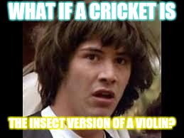 Keanu Reeves | WHAT IF A CRICKET IS; THE INSECT VERSION OF A VIOLIN? | image tagged in keanu reeves | made w/ Imgflip meme maker