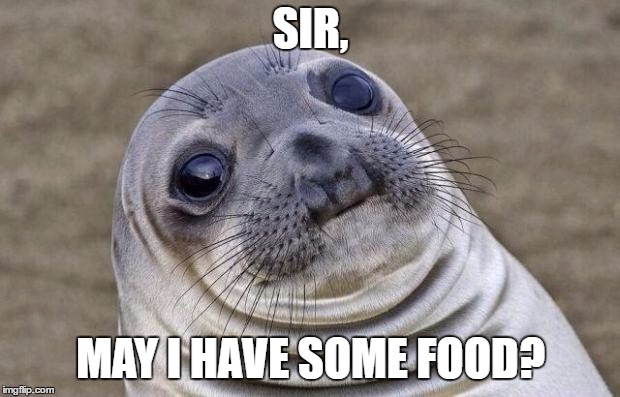 Awkward Moment Sealion Meme | SIR, MAY I HAVE SOME FOOD? | image tagged in memes,awkward moment sealion | made w/ Imgflip meme maker