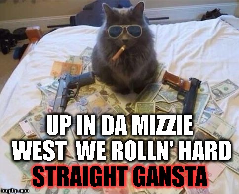 Pimp Cat Big Daddy Catnip | UP IN DA MIZZIE WEST  WE ROLLN' HARD STRAIGHT GANSTA | image tagged in pimp cat big daddy catnip | made w/ Imgflip meme maker