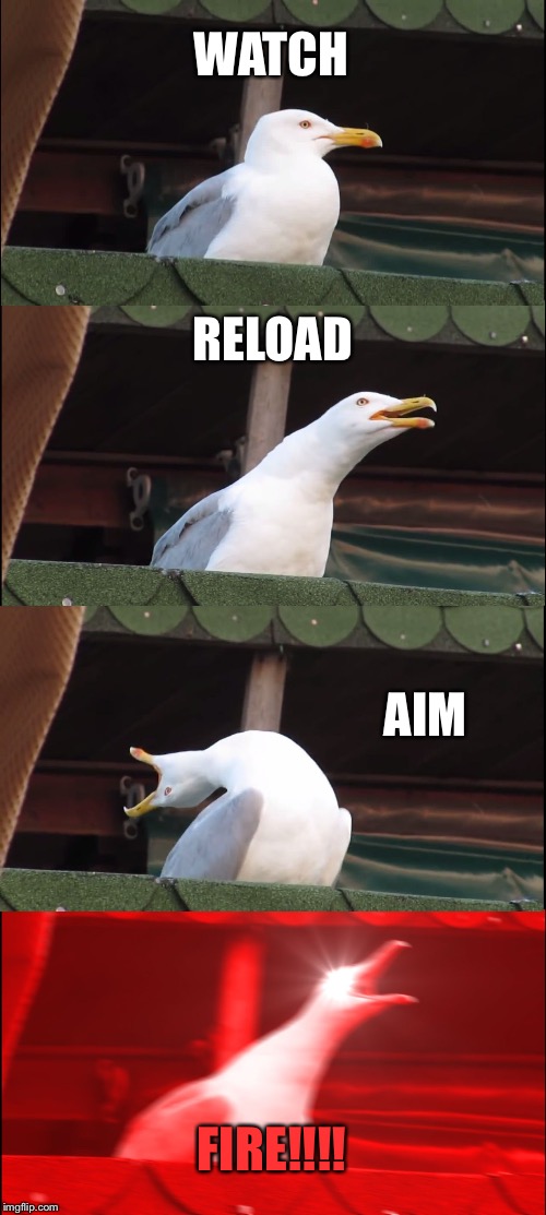 Inhaling Seagull Meme | WATCH; RELOAD; AIM; FIRE!!!! | image tagged in memes,inhaling seagull | made w/ Imgflip meme maker