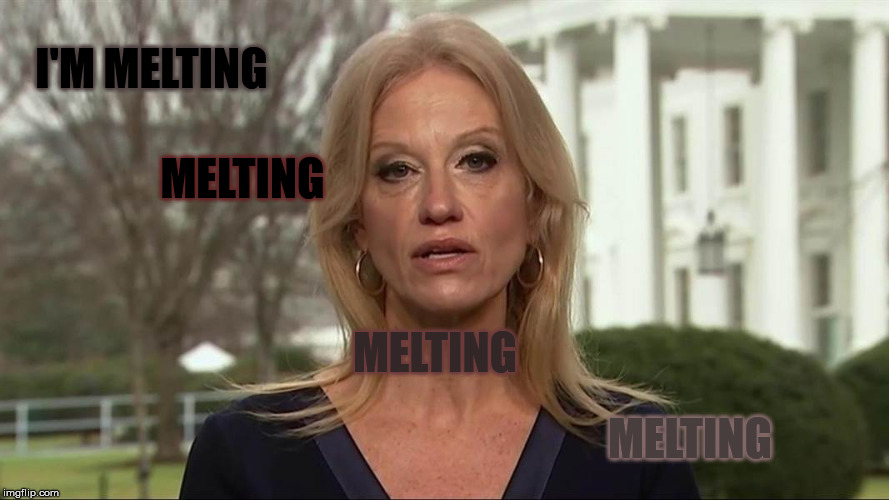 Kellyanne Conway alternative facts | I'M MELTING MELTING MELTING MELTING | image tagged in kellyanne conway alternative facts | made w/ Imgflip meme maker