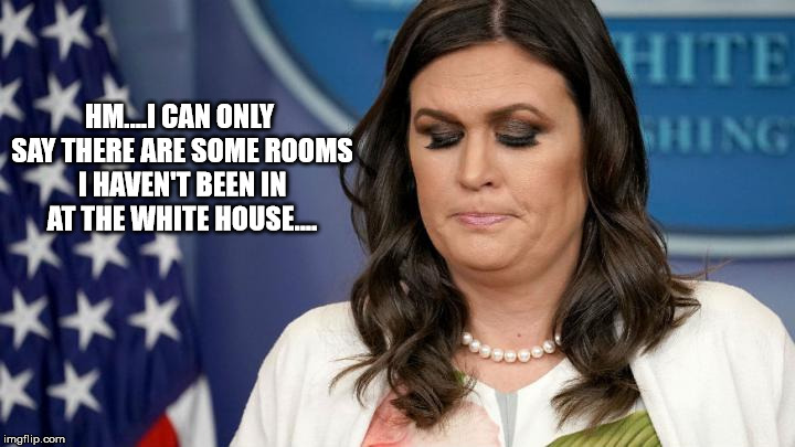 sarah huckabee sanders | HM....I CAN ONLY SAY THERE ARE SOME ROOMS I HAVEN'T BEEN IN AT THE WHITE HOUSE.... | image tagged in sarah huckabee sanders | made w/ Imgflip meme maker