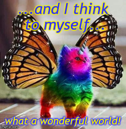 Rainbow unicorn butterfly kitten | ...and I think to myself... what a wonderful world! | image tagged in rainbow unicorn butterfly kitten | made w/ Imgflip meme maker