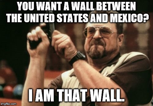 Am I The Only One Around Here | YOU WANT A WALL BETWEEN THE UNITED STATES AND MEXICO? I AM THAT WALL. | image tagged in memes,am i the only one around here | made w/ Imgflip meme maker