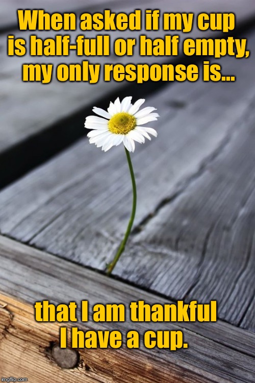 Be thankful  | When asked if my cup is half-full or half empty, my only response is... that I am thankful I have a cup. | image tagged in thankful,half full,half empty | made w/ Imgflip meme maker