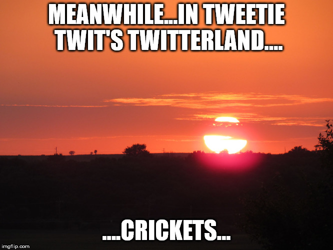 redsunset | MEANWHILE...IN TWEETIE TWIT'S TWITTERLAND.... ....CRICKETS... | image tagged in redsunset | made w/ Imgflip meme maker