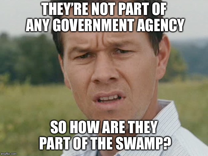 Huh  | THEY’RE NOT PART OF ANY GOVERNMENT AGENCY SO HOW ARE THEY PART OF THE SWAMP? | image tagged in huh | made w/ Imgflip meme maker