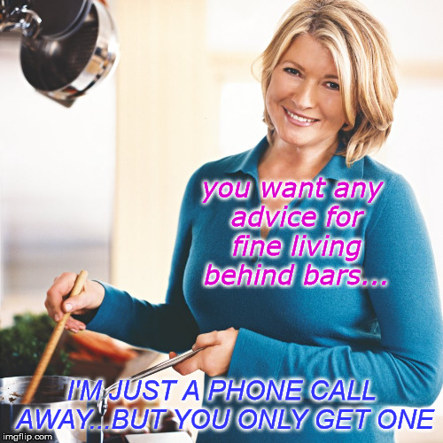 Martha Stewart Problems  | you want any advice for fine living behind bars... I'M JUST A PHONE CALL AWAY...BUT YOU ONLY GET ONE | image tagged in martha stewart problems | made w/ Imgflip meme maker