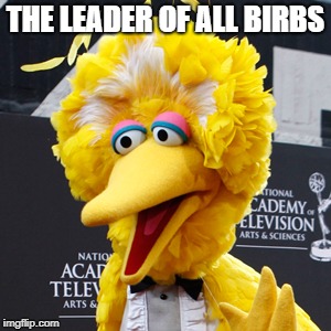 Big Bird | THE LEADER OF ALL BIRBS | image tagged in memes,big bird | made w/ Imgflip meme maker