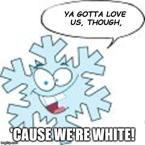 Snowflake | YA GOTTA LOVE US, THOUGH, 'CAUSE WE'RE WHITE! | image tagged in snowflake | made w/ Imgflip meme maker